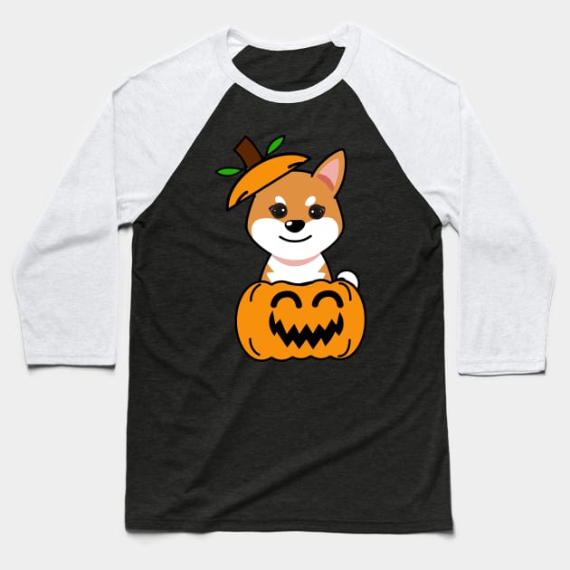 Funny orange dog is in a pumpkin Baseball T-Shirt by Pet Station